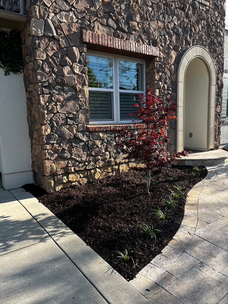 Tree Space Landscaping project photo 10