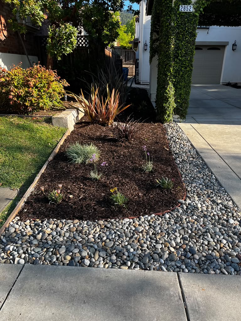 Tree Space Landscaping project photo 11