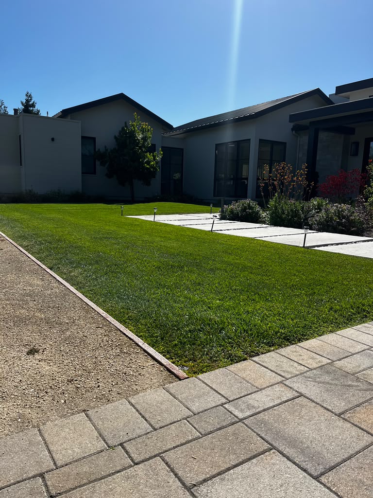 Tree Space Landscaping project photo 15