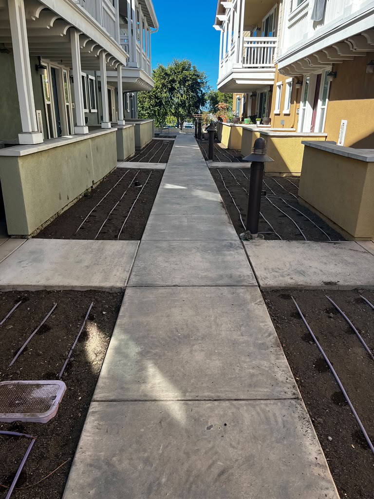 Tree Space Landscaping project photo 2