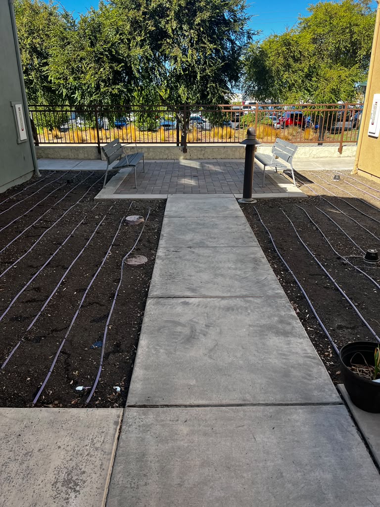 Tree Space Landscaping project photo 3