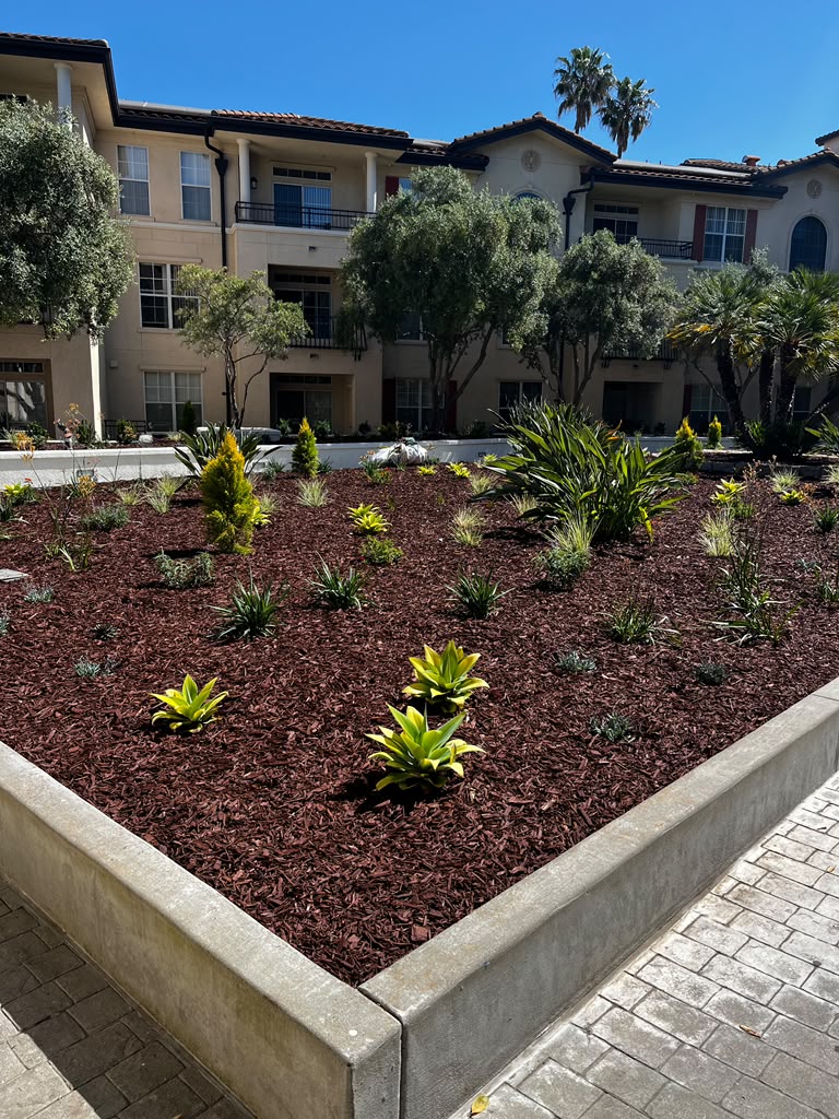 Tree Space Landscaping project photo 4