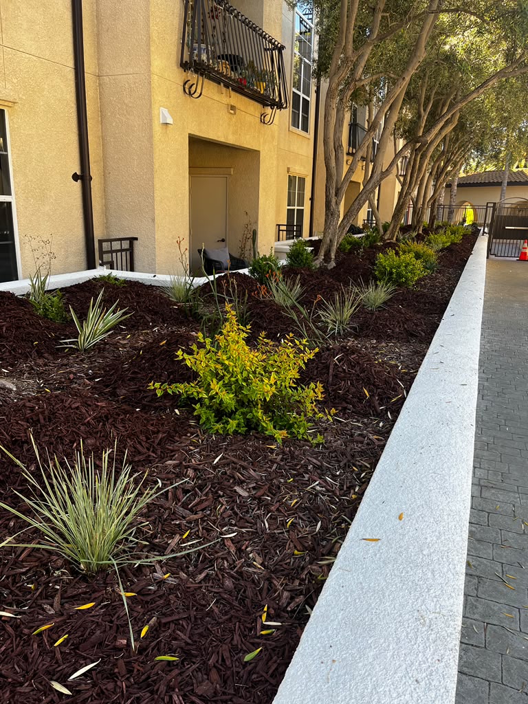 Tree Space Landscaping project photo 5
