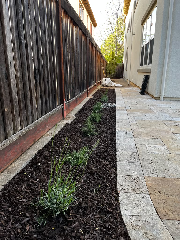 Tree Space Landscaping project photo 6