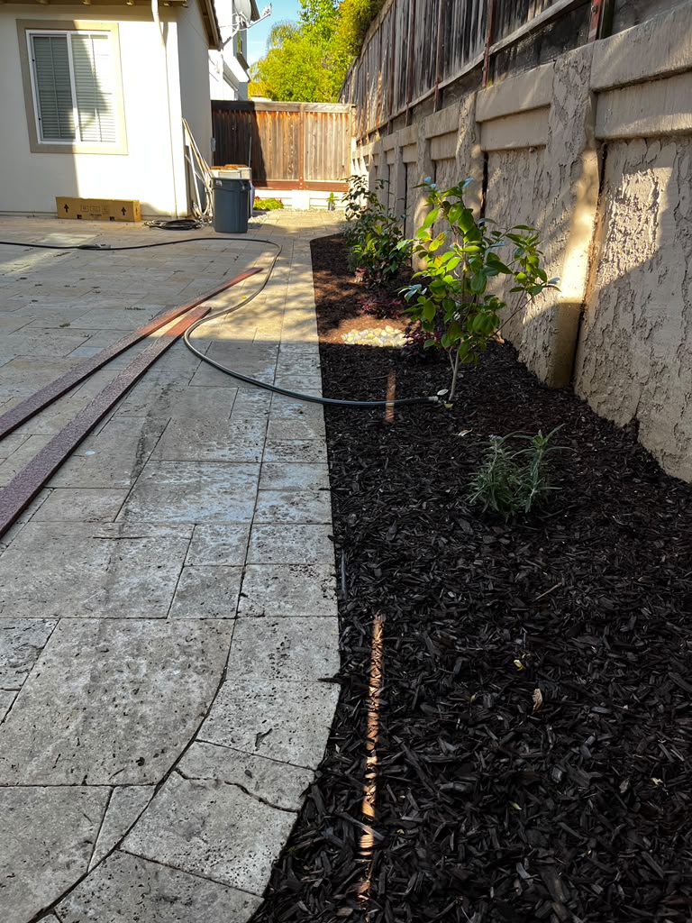 Tree Space Landscaping project photo 8