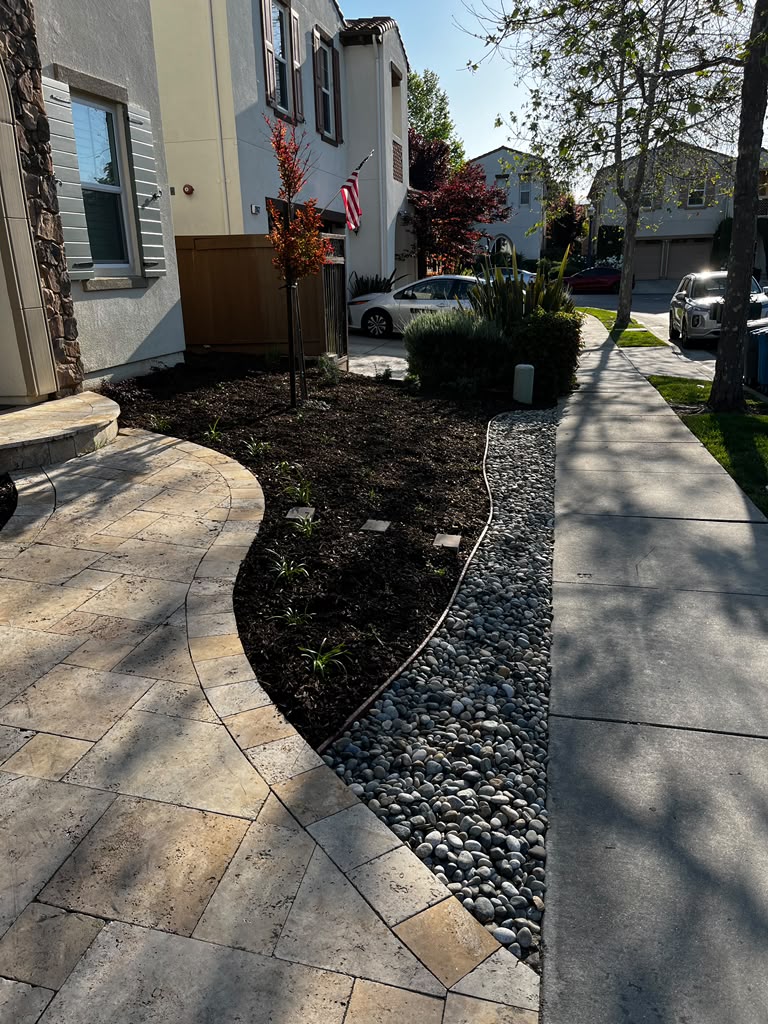 Tree Space Landscaping project photo 9