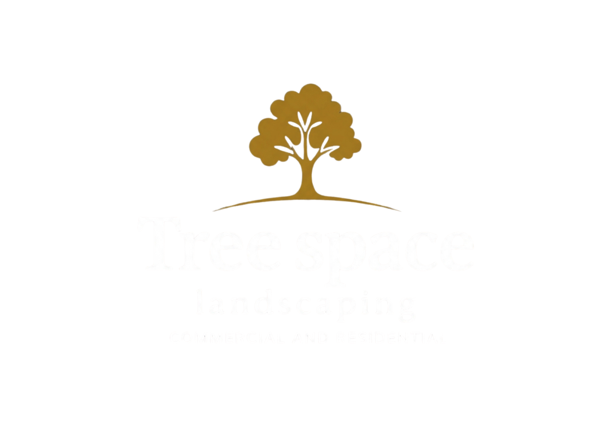Tree Space Landscaping