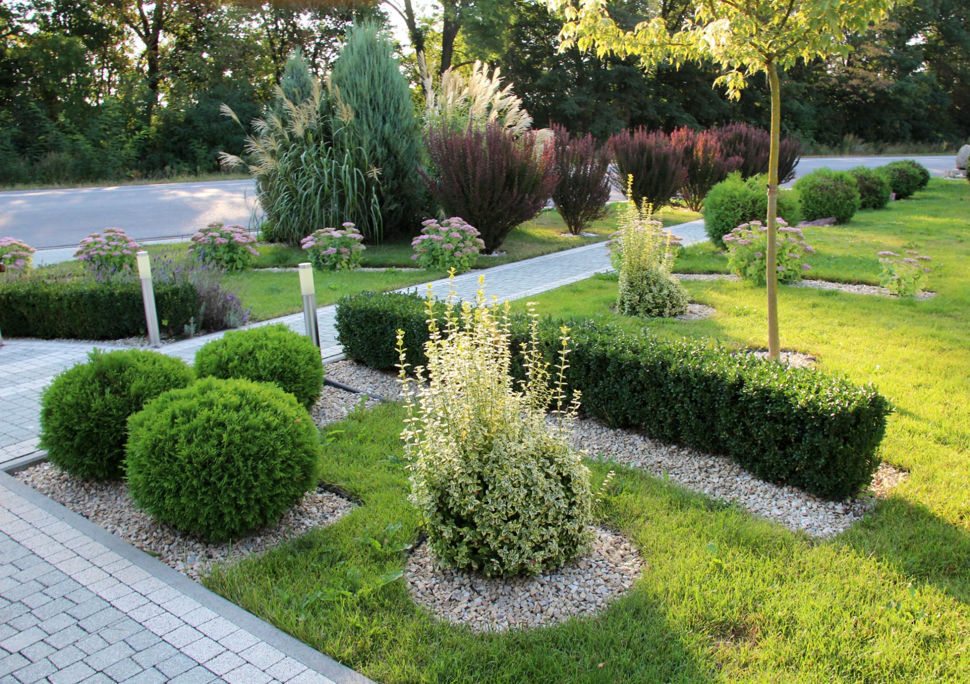 Landscaped residential front yard by Tree Space Landscaping